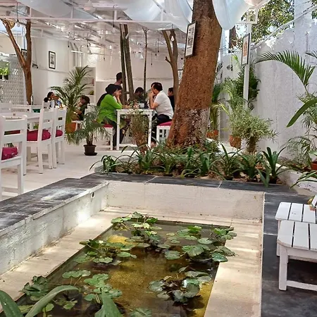 Namma Ashram-2
